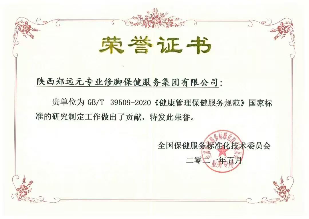 国家标准研究制定贡献荣誉证书